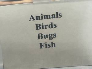 lot 253 image: Collection of Animal, Bird, Bug, and Fish Rubber Stamps - drawer not inc