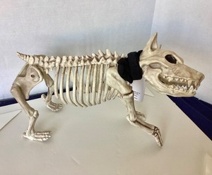 lot 270 image: Buster Bones Halloween Dog Skeleton