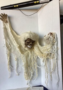 lot 273 image: Animated Hanging Skull and Bones Ghoul Decor #1