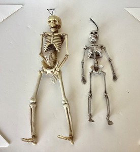 lot 276 image: Pair of Small Skeletons