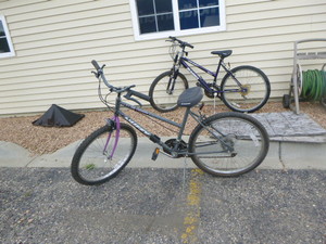 lot 10 image: 2 Adult Bicycles