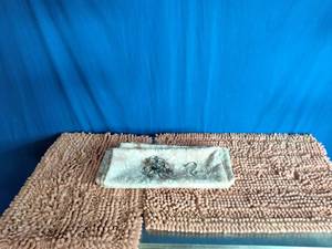 lot 100 image: 2 Bath Rugs and a Shower Curtain