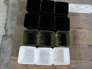 lot 123 image: 12 Pots Herb Gardening...