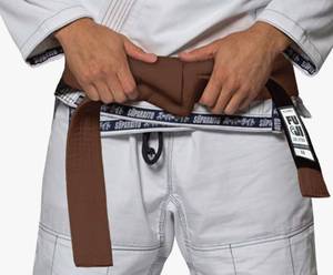 lot 391 image: FUJI Brown Jiu Jitsu Rank Belt, A1 104 - Brand New