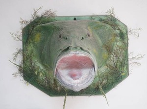 lot 1 image: Giant Grouper Fish Mount
