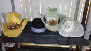 lot 196 image: Cowboy Hat Variety (4).