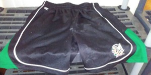 lot 201 image: UND Fighting Sioux Shorts (L).