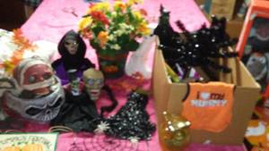 lot 314 image: Halloween Dcor, lots of fun items.