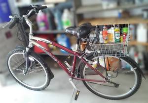lot 184 image: Mens Wildwood Diamondback 8 speed Bike.