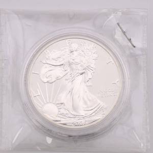 lot 16 image: 2006-P American Silver Eagle - 1 oz Silver