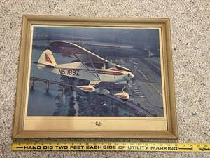 lot 640 image: Framed Piper Colt Color Photograph by Anthony Linck