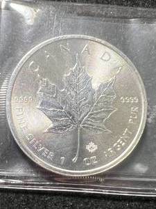 lot 31 image: 2019 CANADIAN MAPLE LEAF 1 TROY OZ .9999 FINE SILVER