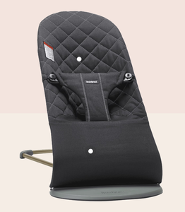 lot 66 image: BabyBjrn Bouncer Bliss
