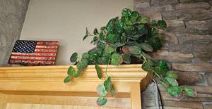 lot 153 image: Faux Greenery Plant in Decorative Pot with American Flag Sign