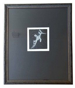 lot 76 image: Abigail Anderson Limited Edition Framed Seahorse Artwork 610