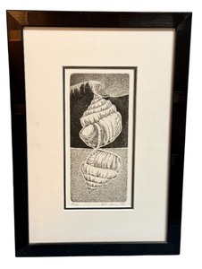 lot 37D image: Framed Limited Edition Shell Artwork by Abigail Anderson