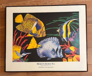 lot 373 image: Mexicos Secret Sea Framed Print by Barbara Wallace for the Monterey Bay Aquarium
