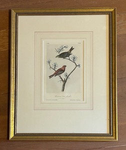 lot 393 image: Beautiful Bird Motif Print Common Pine-Finch by J.J. Audubon