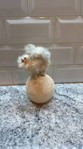 lot 33 image: German Handmade Furry Dog Figurine on Ball 6x3.5 Inch