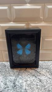 lot 34 image: 6x8 Framed Blue Morpho Butterfly by Josh Hyder Designs