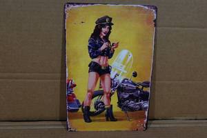 lot 141 image: Novelty Metal Sign - Police