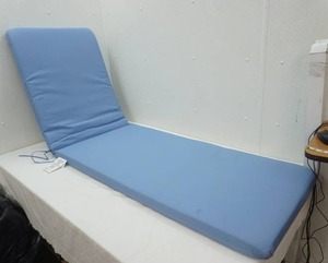 lot 60 image: Outdoor Lounge Chair Tie-Down Cushion