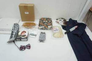 lot 155 image: Halloween Costumes & Decor