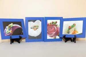 lot 188 image: Set of 4 Ikea Frog Prints