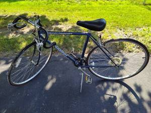 lot 302 image: Schwinn World Sport Mens Bike