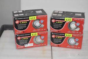 lot 3 image: Brushed Nickel Gimbal LED