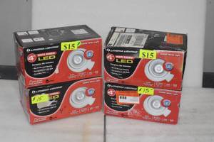 White Gimbal LED