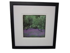 lot 62 image: Framed Art