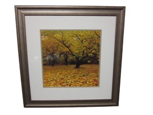 lot 64 image: Framed Art