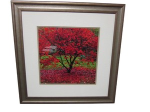 lot 65 image: Framed Art