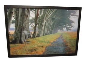 lot 70 image: Framed Art