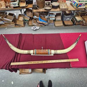 Beautiful Set of Long Horns as shown in photo