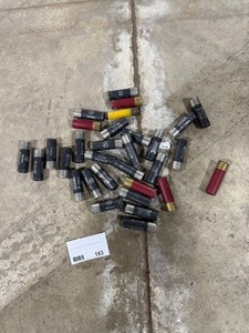lot 183 image: QTY 30- 12 GUAGE SHOTGUN SHELLS