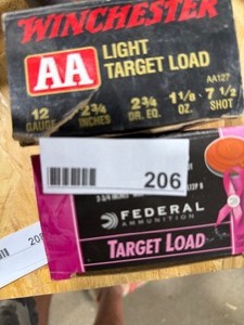 lot 206 image: 2 BOXES OF 12 GUAGE TARGET LOAD SHOTGUN SHELLS