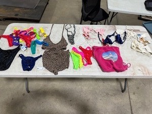 lot 81 image: BAG FULL OF SWIMMING SUITS