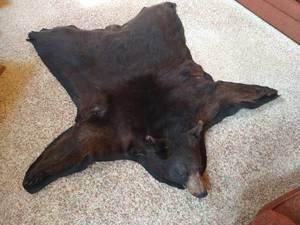lot 20 image: Beautiful Black Bear Rug