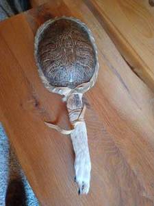 lot 22 image: Turtle Shell & Animal Paw Rattle