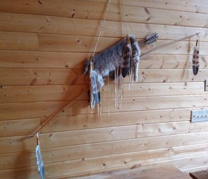 lot 27 image: Native American Bow & Arrows With Bobcat Skin Quiver - Very Neat