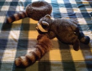 lot 90 image: Raccoon Lot - (2) Real Raccoon Tails