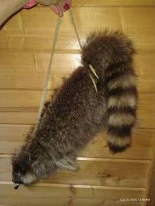 lot 92 image: Raccoon Skin Quiver