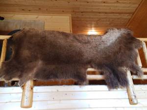 lot 145 image: Full Bison Hide - Awesome