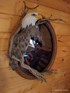 lot 154 image: Neat Eagle Mirror
