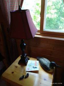 lot 157 image: Lamp & Loon Decor - (1) Ducks Unlimited