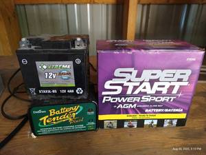 lot 272 image: Small Battery Lot - (2) Small Batteries & Charger