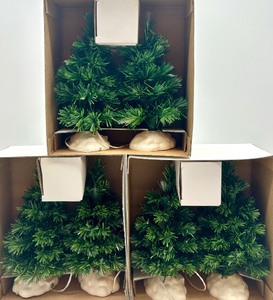 lot 98 image: Department 56 Village Accessory Lighted Pine Trees