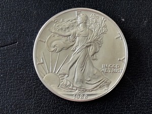lot 48 image: 1988 Silver Eagle